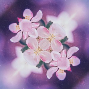 Avatar for Sihu