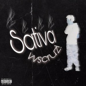 Sativa