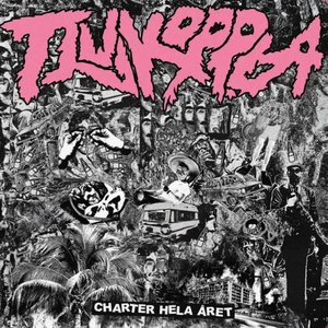 Charter hela året