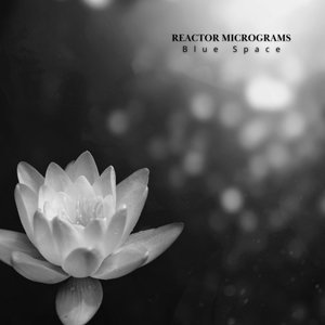 Avatar for Reactor Micrograms