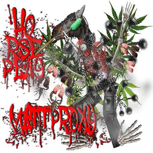 horse play by matt proxy