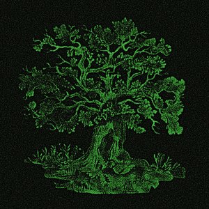 Avatar for What Was Said In The Woods