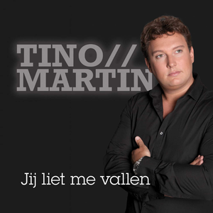Artwork for DE GEVIERDE MAN