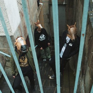 Avatar for Horse Attack Sqwad
