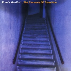 The Elements Of Transition