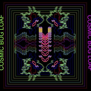 Avatar for Cosmic Bug Loaf