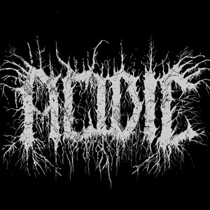 Avatar for Acidic