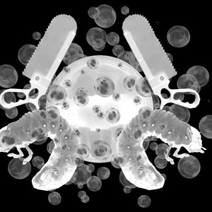 Avatar for Gynaecolabededysgenitonarcpleiotocultxennoaphersis