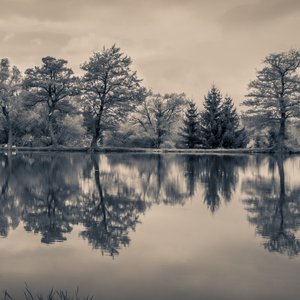 Avatar for Stillness Sanctuary
