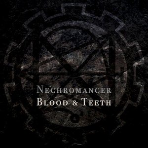 Blood & Teeth
