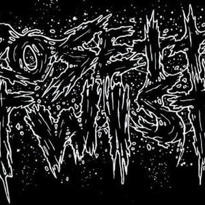 Avatar for Rosetta Twist