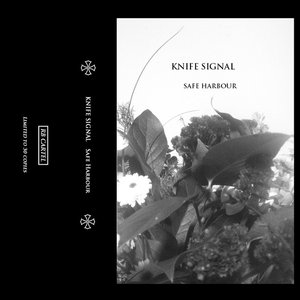 Avatar di Knife Signal