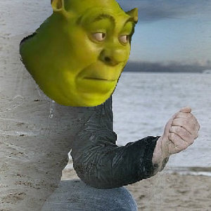 ...