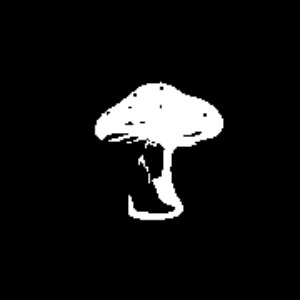 Avatar for fungi girlz