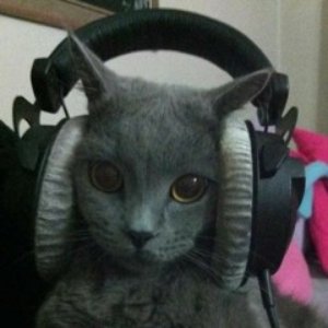 Avatar for STYROZ