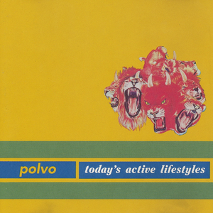 Today's Active Lifestyles by Polvo