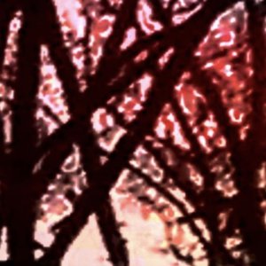 Regrets I Recorded