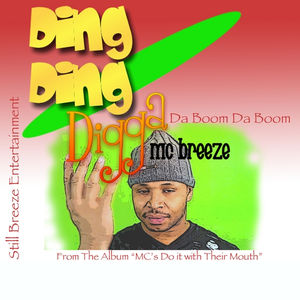 Ding Ding Digga album cover