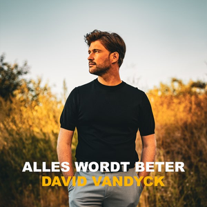 Artwork for Alles Wordt Beter