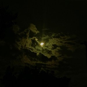 Sonniferi - Single