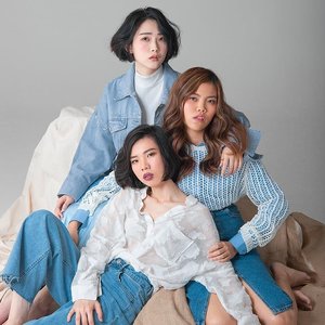 Avatar for 貓速公路