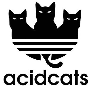 Avatar for Acid Cats