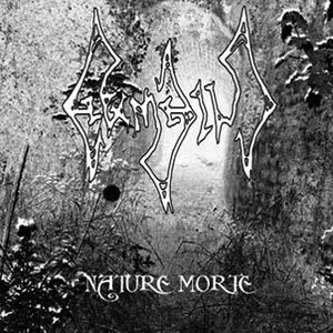 Nature Morte