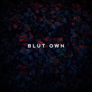Avatar for Blut Own