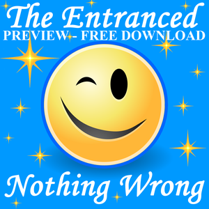 Nothing Wrong by The Entranced