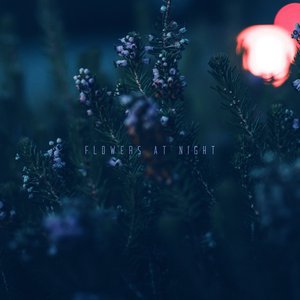 Flowers at night