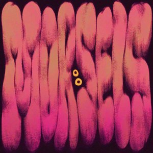 MORSELS (Original Soundtrack)