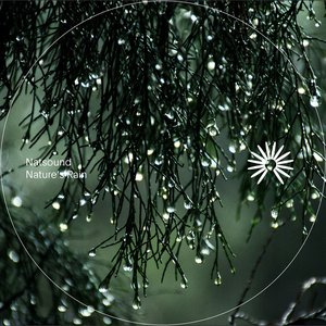 Nature's Rain