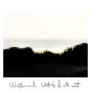 What to Do With Want