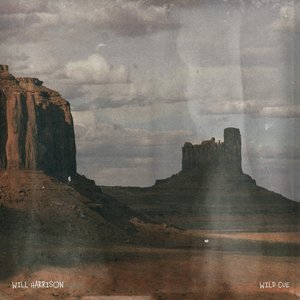Wild Cue