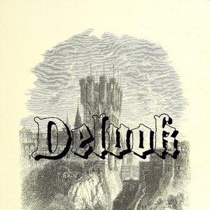 Avatar for Delvok