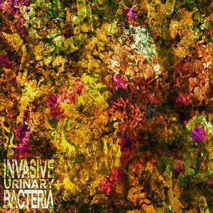 Avatar for Invasive Urinary Bacteria