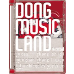 DONG MUSIC LAND