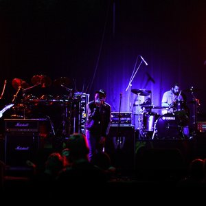 Avatar for Testis