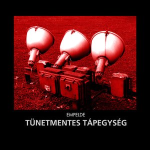 Tünetmentes Tápegység