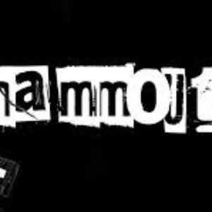 Avatar for mammoutt