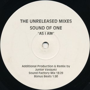 As I Am (The Unreleased Mixes)