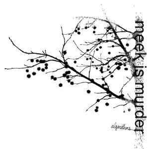 Algorithms