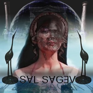 Avatar for Sal Sagev