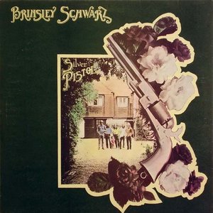 Silver Pistol