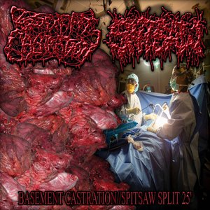 Split With Spitsaw
