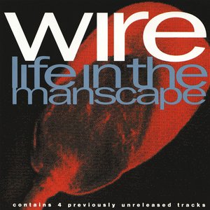 Life in the Manscape