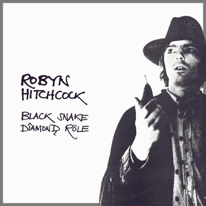 Black Snake Diamond Role album cover