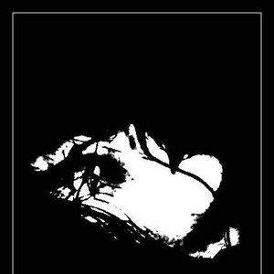 Avatar de Schwerkraft
