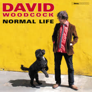 Normal Life album cover