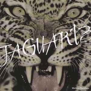 Jaguar'13